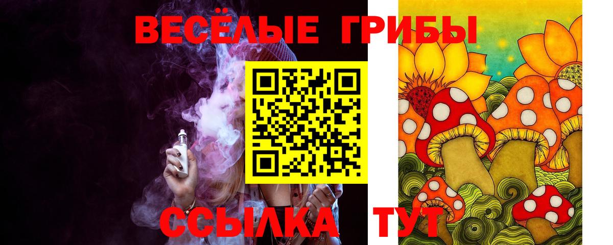 Крымск  Псилоцибиновые грибы GOLDEN TEACHER  Галлюциногенные грибы прущие грибы  Вход с VPN 